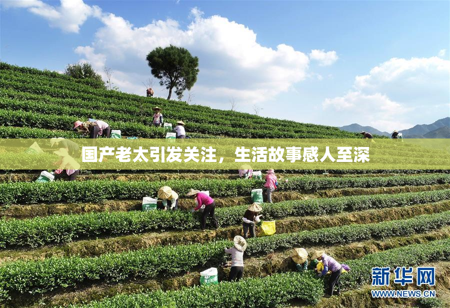 国产老太引发关注，生活故事感人至深