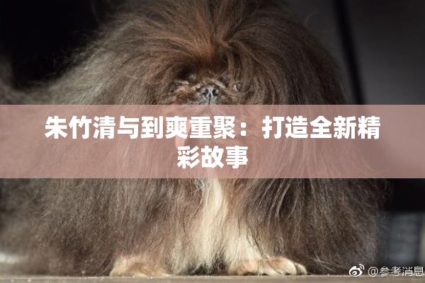 朱竹清与到爽重聚：打造全新精彩故事