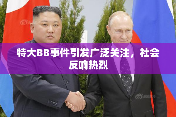 特大BB事件引发广泛关注，社会反响热烈