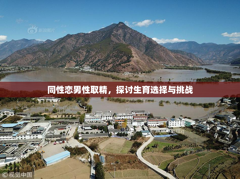 同性恋男性取精，探讨生育选择与挑战