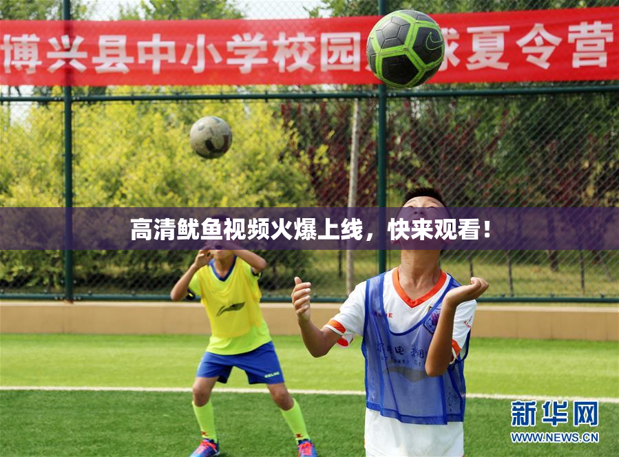 高清鱿鱼视频火爆上线，快来观看！