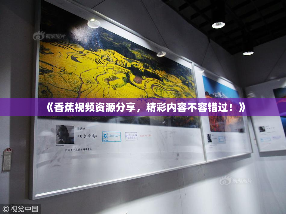 《香蕉视频资源分享，精彩内容不容错过！》