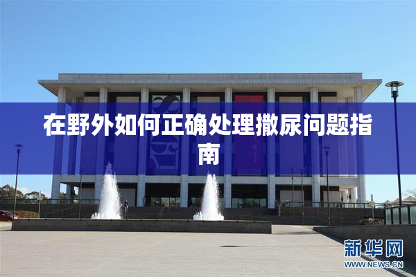 在野外如何正确处理撒尿问题指南