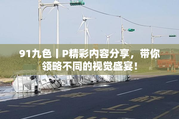 91九色丨P精彩内容分享，带你领略不同的视觉盛宴！