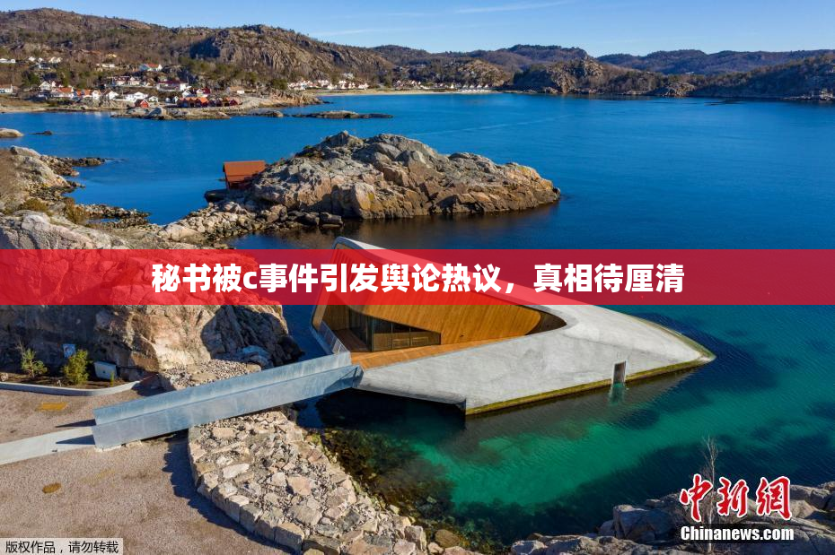 秘书被c事件引发舆论热议，真相待厘清