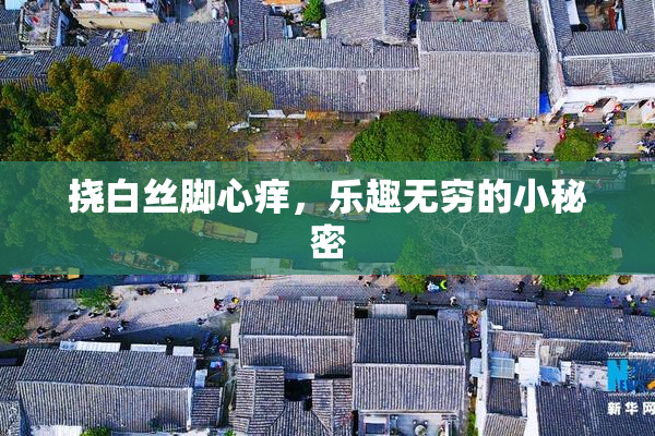 挠白丝脚心痒，乐趣无穷的小秘密