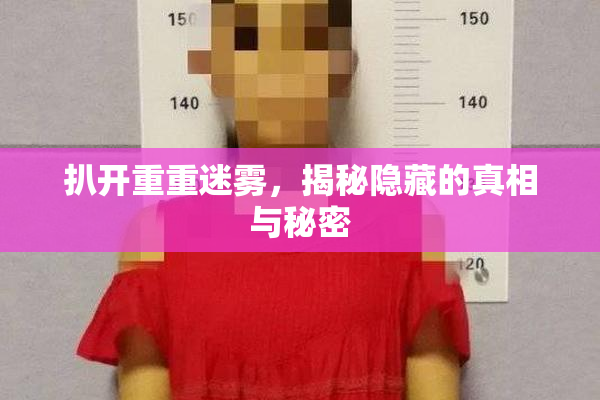 扒开重重迷雾，揭秘隐藏的真相与秘密