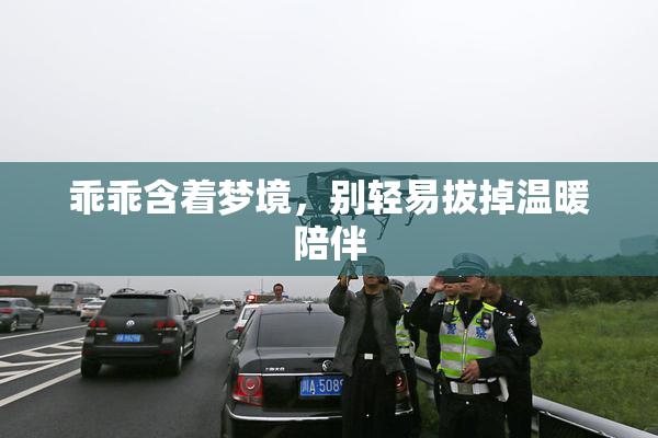 乖乖含着梦境，别轻易拔掉温暖陪伴