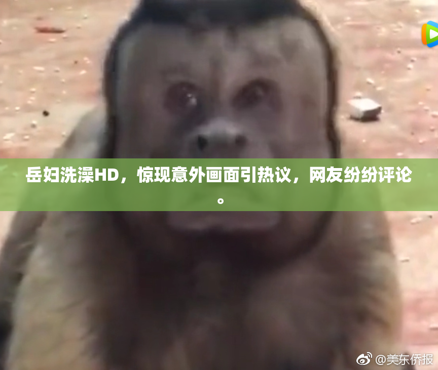 岳妇洗澡HD，惊现意外画面引热议，网友纷纷评论。
