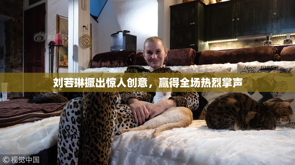 刘若琳撅出惊人创意，赢得全场热烈掌声