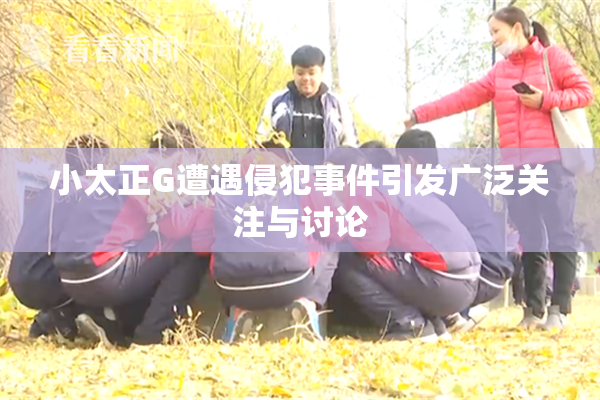 小太正G遭遇侵犯事件引发广泛关注与讨论