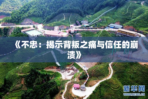 《不忠：揭示背叛之痛与信任的崩溃》