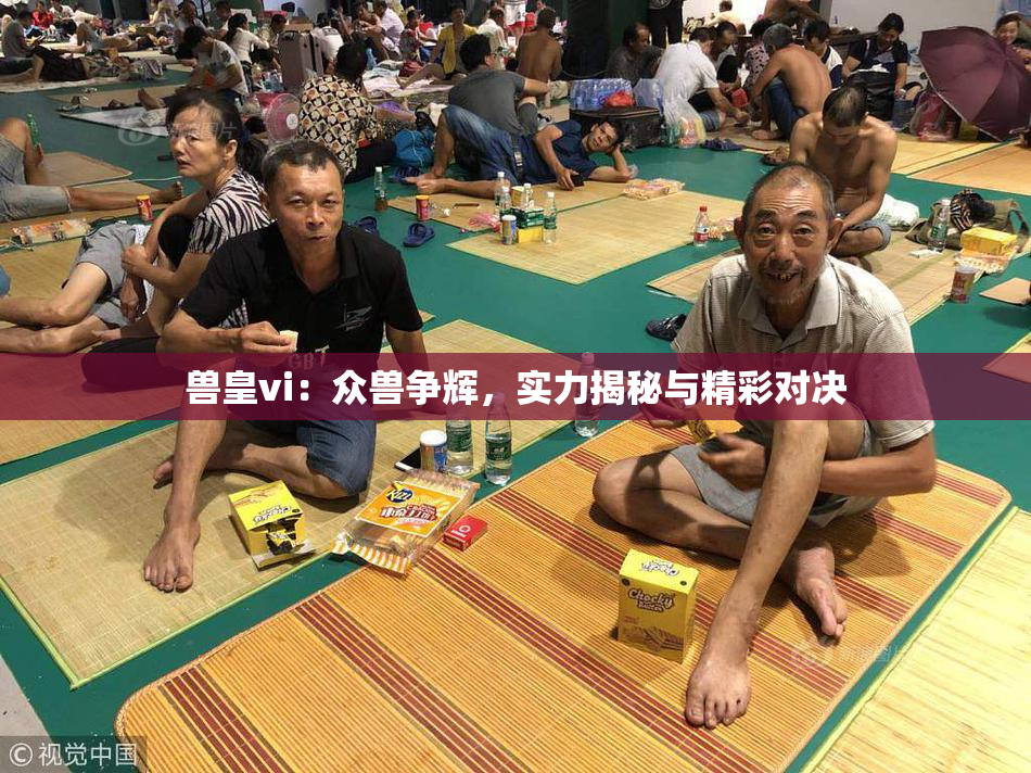 兽皇vi：众兽争辉，实力揭秘与精彩对决