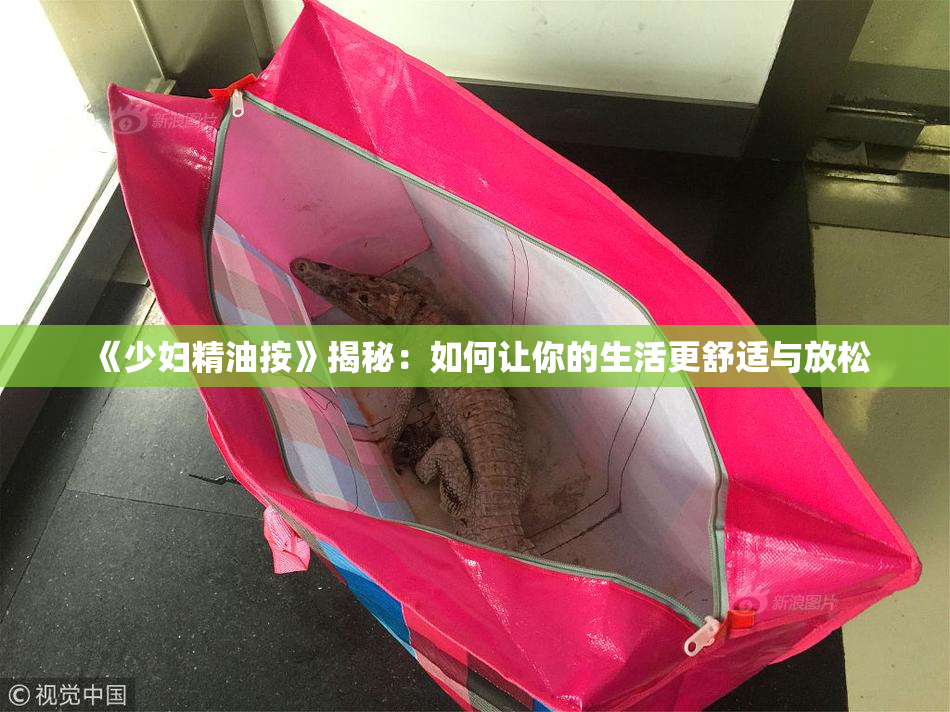 《少妇精油按》揭秘：如何让你的生活更舒适与放松