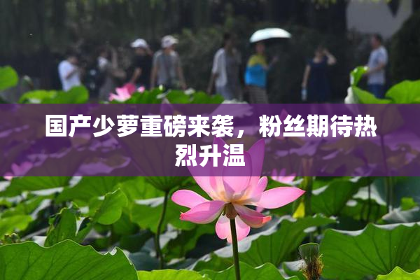 国产少萝重磅来袭，粉丝期待热烈升温