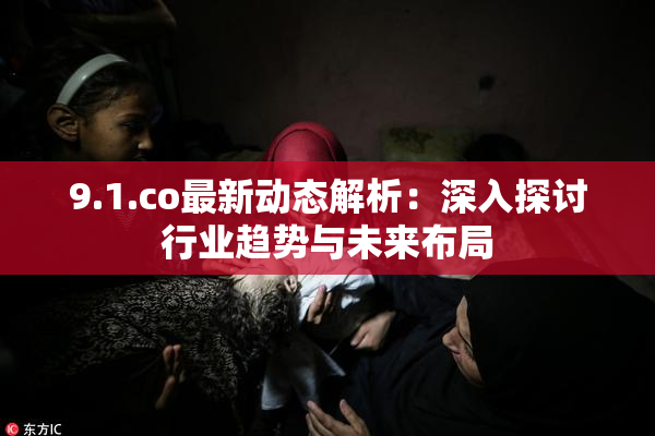 9.1.co最新动态解析：深入探讨行业趋势与未来布局