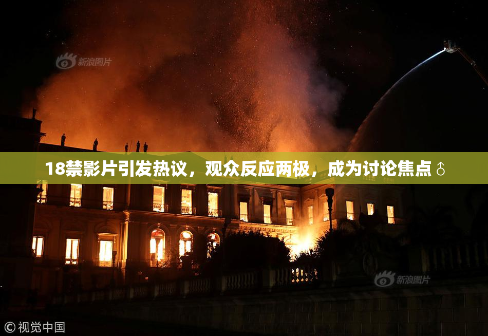 18禁影片引发热议，观众反应两极，成为讨论焦点♂