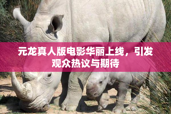 元龙真人版电影华丽上线，引发观众热议与期待
