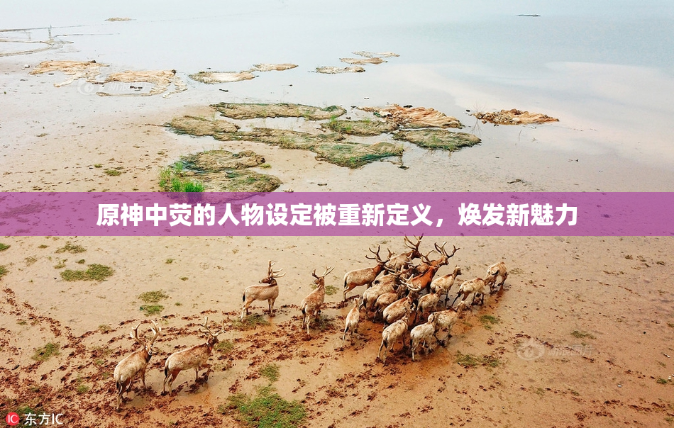 原神中荧的人物设定被重新定义，焕发新魅力