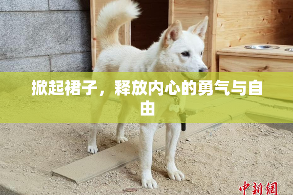 掀起裙子，释放内心的勇气与自由