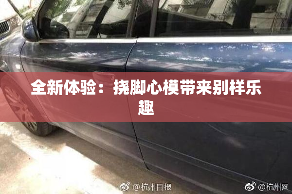 全新体验：挠脚心模带来别样乐趣