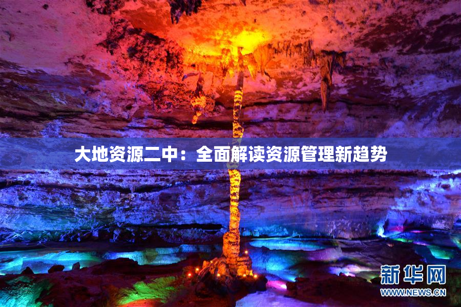 大地资源二中：全面解读资源管理新趋势