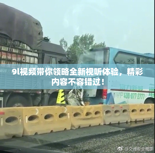 9l视频带你领略全新视听体验，精彩内容不容错过！