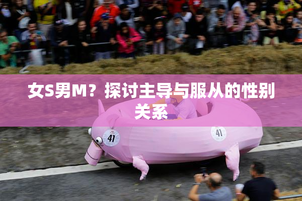 女S男M？探讨主导与服从的性别关系
