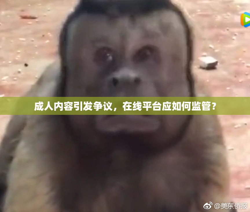 成人内容引发争议，在线平台应如何监管？