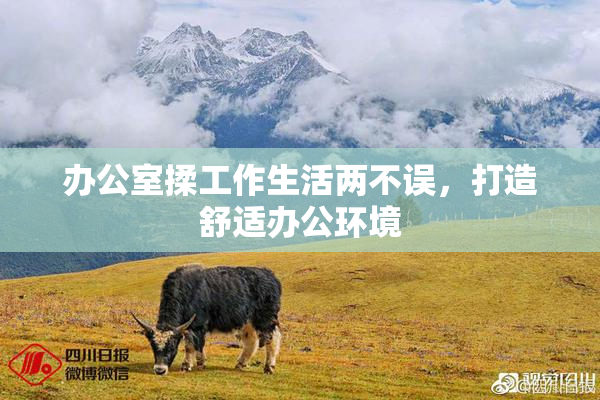 办公室揉工作生活两不误，打造舒适办公环境
