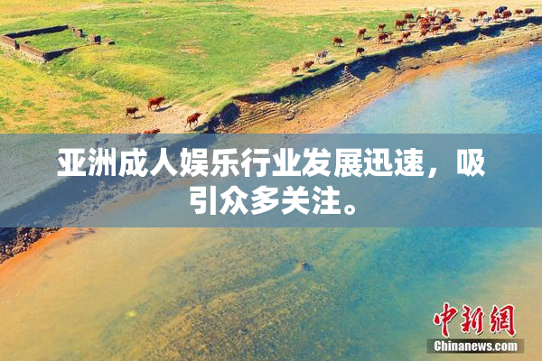 亚洲成人娱乐行业发展迅速，吸引众多关注。