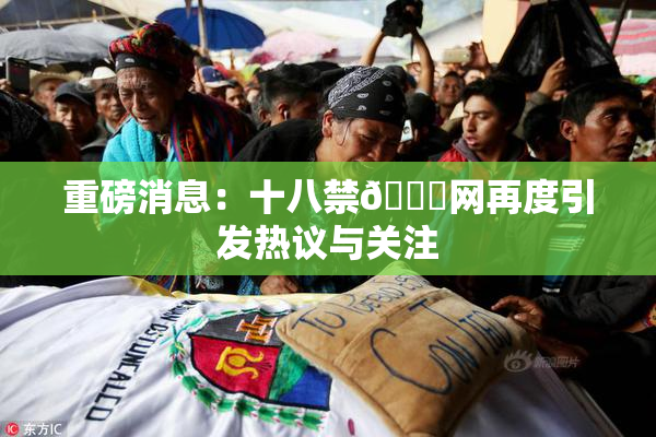 重磅消息：十八禁🔞网再度引发热议与关注