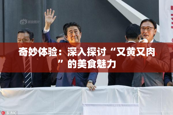 奇妙体验：深入探讨“又黄又肉”的美食魅力