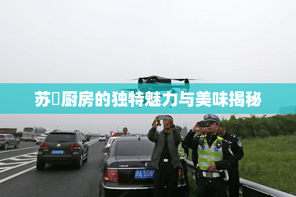 苏玥厨房的独特魅力与美味揭秘