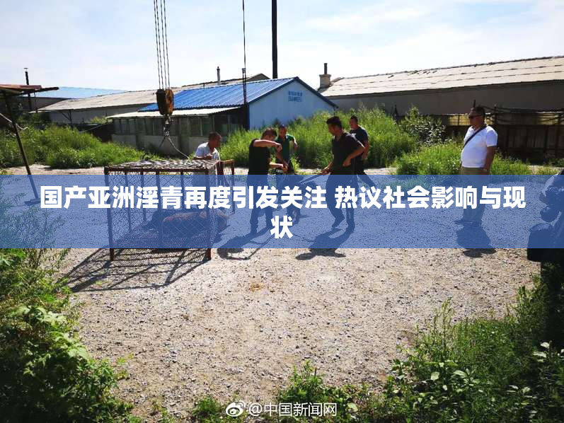 国产亚洲淫青再度引发关注 热议社会影响与现状