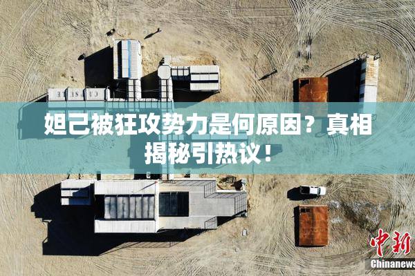 妲己被狂攻势力是何原因？真相揭秘引热议！