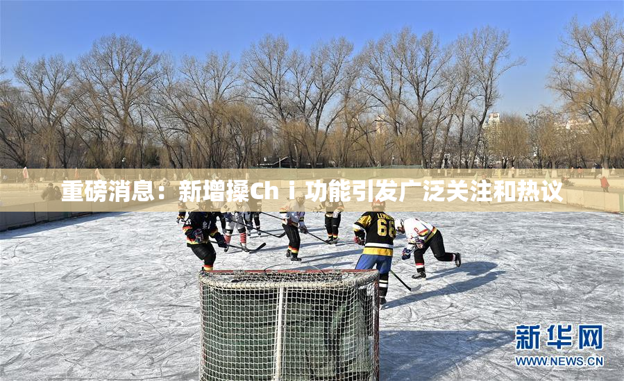 重磅消息：新增搡Chⅰ功能引发广泛关注和热议