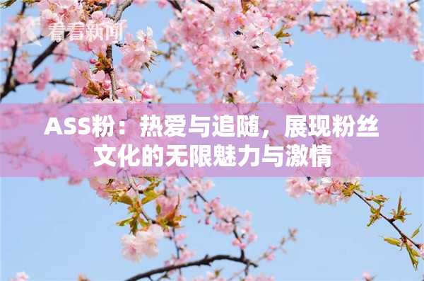 ASS粉：热爱与追随，展现粉丝文化的无限魅力与激情