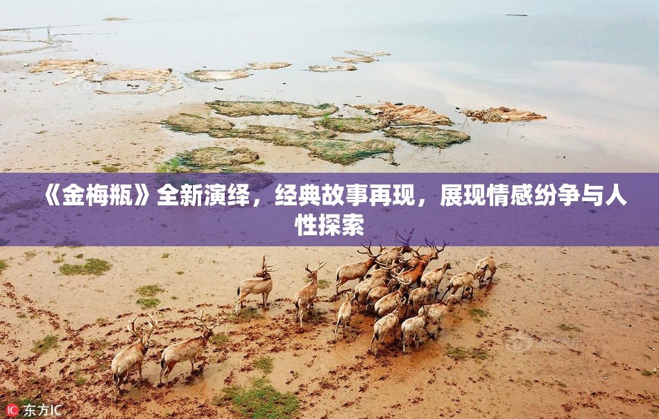 《金梅瓶》全新演绎，经典故事再现，展现情感纷争与人性探索