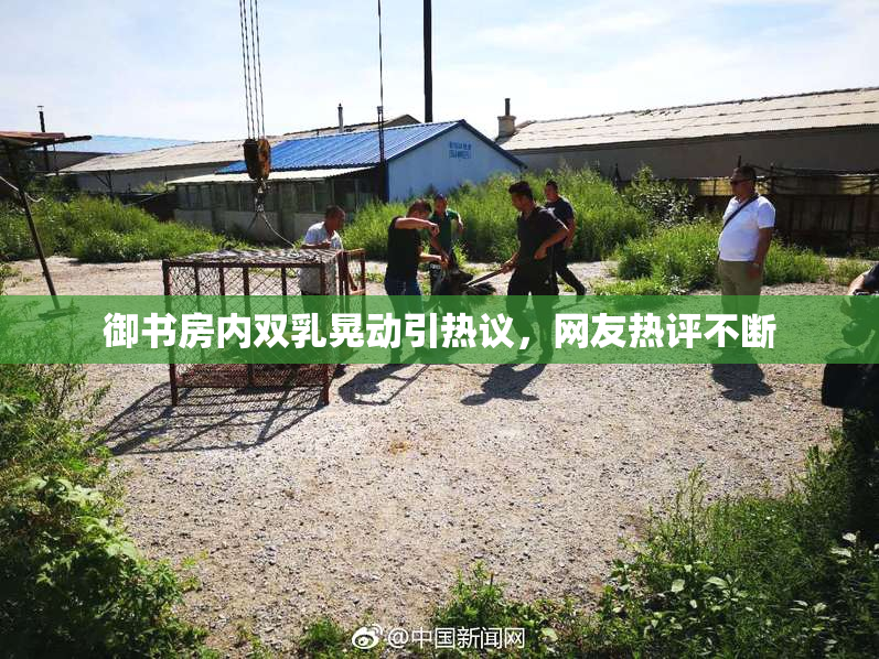 御书房内双乳晃动引热议，网友热评不断