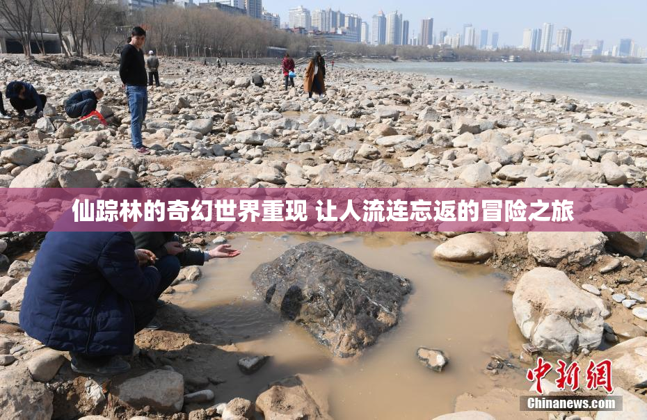 仙踪林的奇幻世界重现 让人流连忘返的冒险之旅