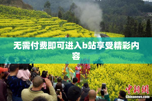 无需付费即可进入b站享受精彩内容
