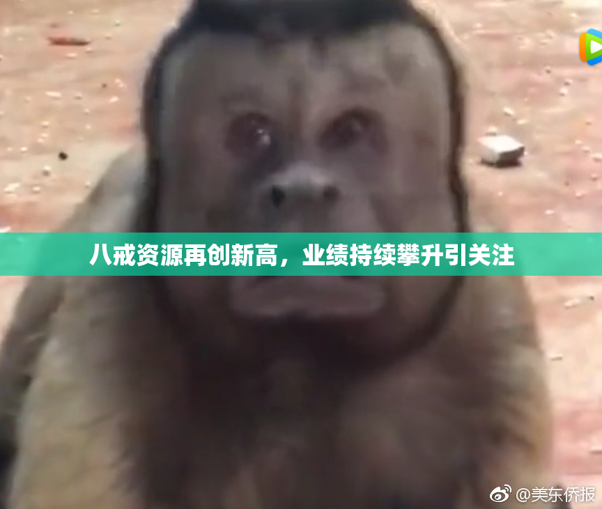 八戒资源再创新高，业绩持续攀升引关注