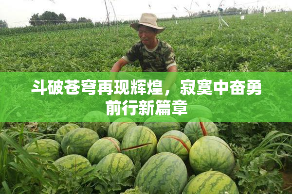 斗破苍穹再现辉煌，寂寞中奋勇前行新篇章