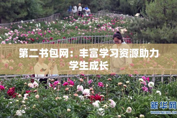 第二书包网：丰富学习资源助力学生成长