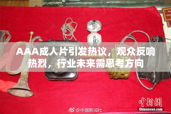 AAA成人片引发热议，观众反响热烈，行业未来需思考方向