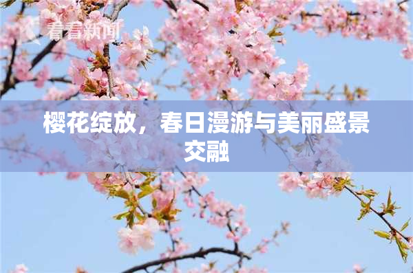 樱花绽放，春日漫游与美丽盛景交融