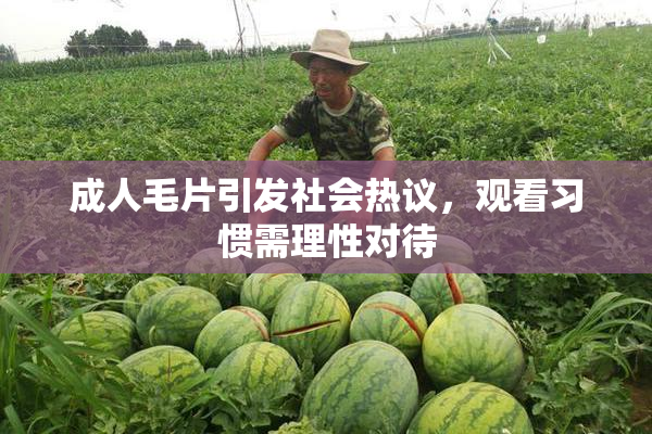 成人毛片引发社会热议，观看习惯需理性对待