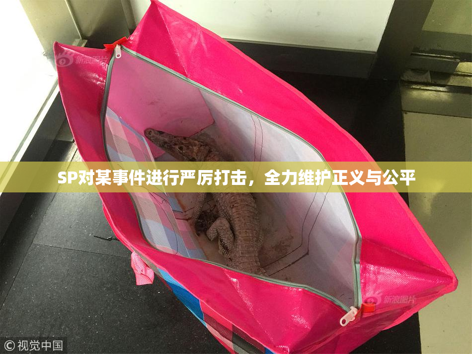 SP对某事件进行严厉打击，全力维护正义与公平