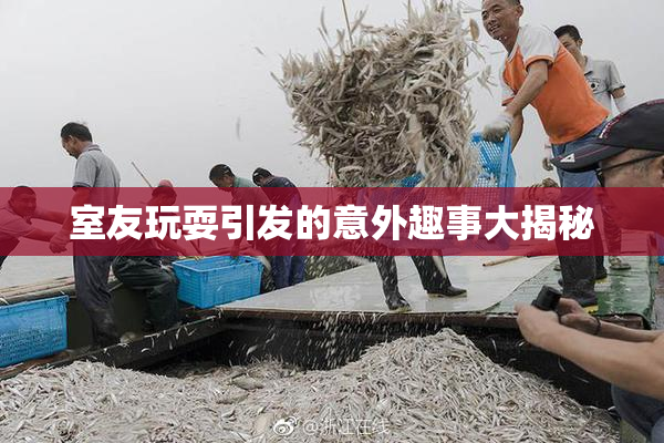 室友玩耍引发的意外趣事大揭秘